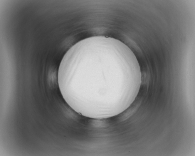 X0000111390238200907311120