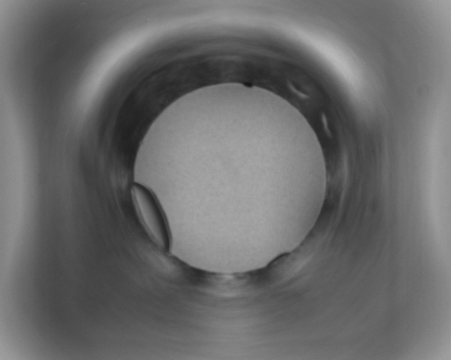 X0000111390239200907311120