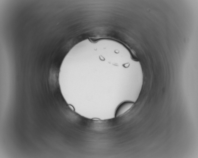 X0000111390240200907311120