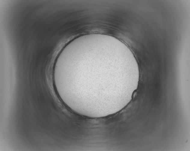 X0000111390241200907311119