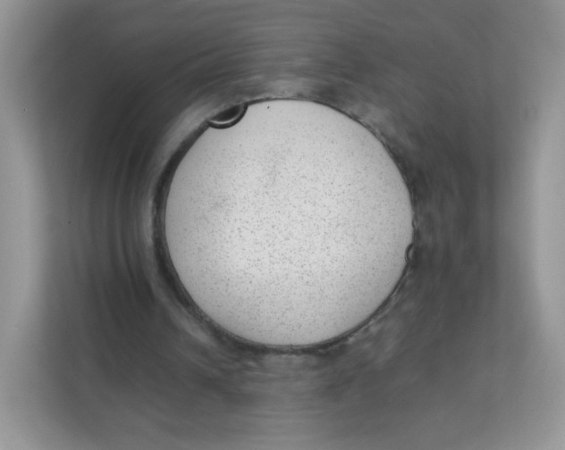 X0000111390242200907311119