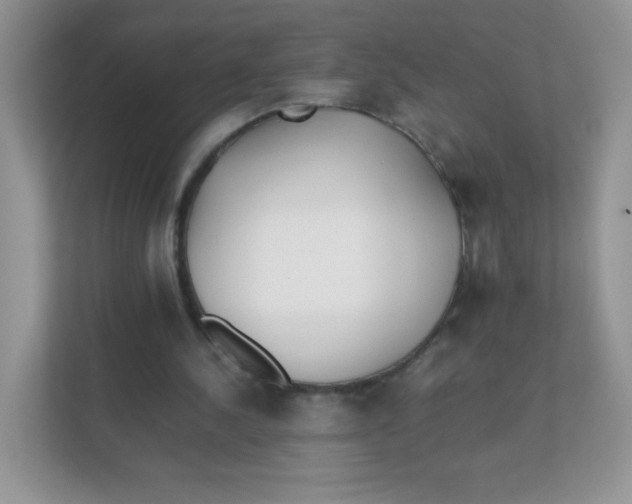 X0000111390244200907311119