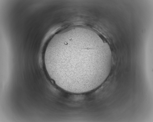 X0000111390245200907311119