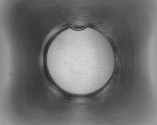 X0000111390246200907311119