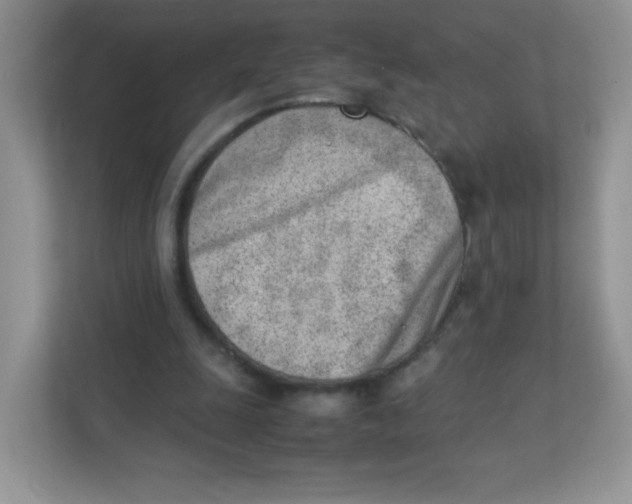 X0000111390247200907311119