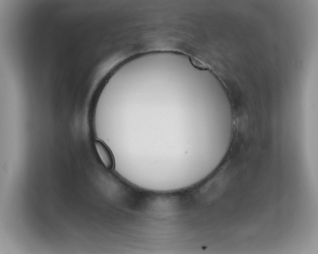 X0000111390248200907311119