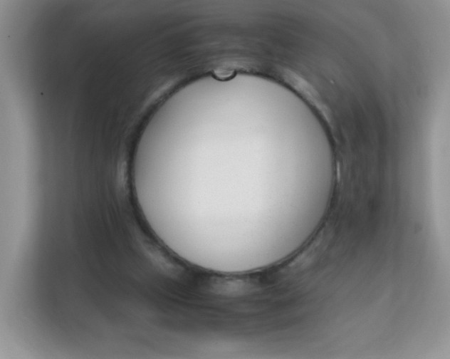 X0000111390249200907311119