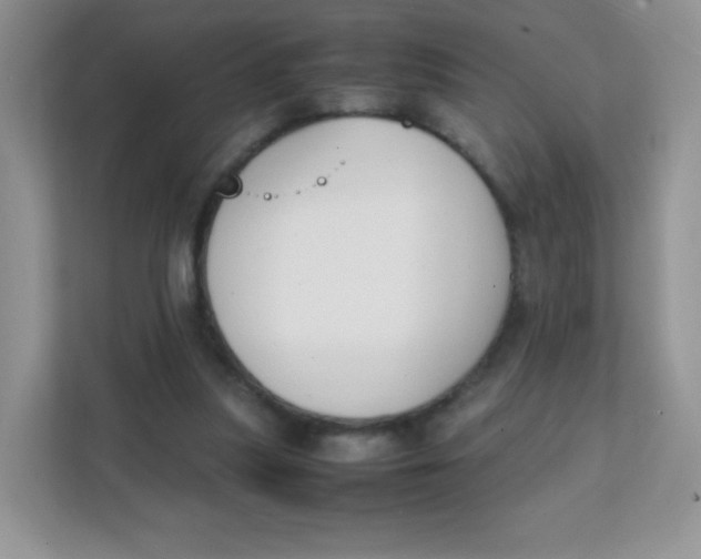 X0000111390251200907311119