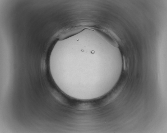 X0000111390252200907311119