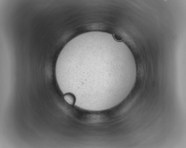 X0000111390255200907311119