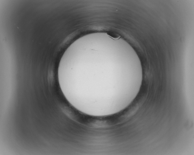 X0000111390256200907311119