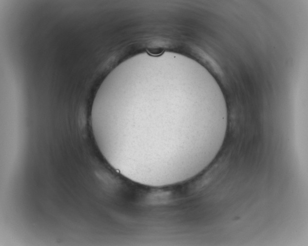 X0000111390257200907311119