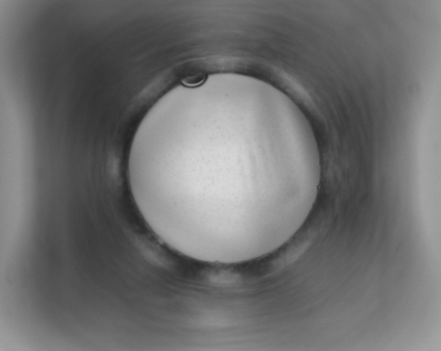 X0000111390258200907311120