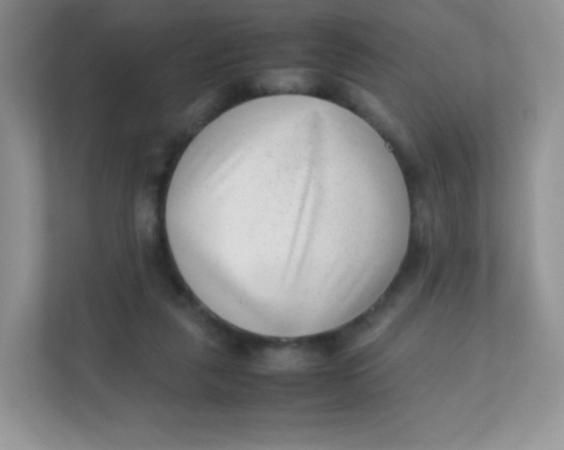 X0000111390259200907311120