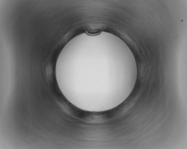 X0000111390260200907311120