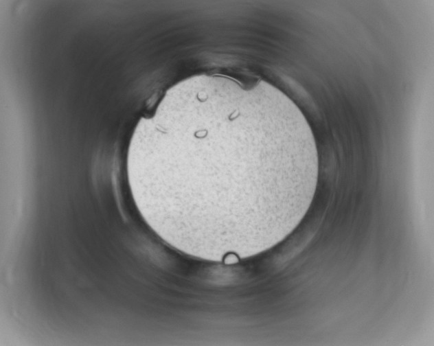 X0000111390261200907311120