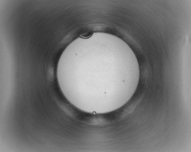 X0000111390262200907311120