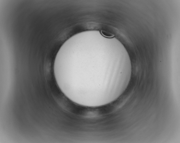 X0000111390263200907311120