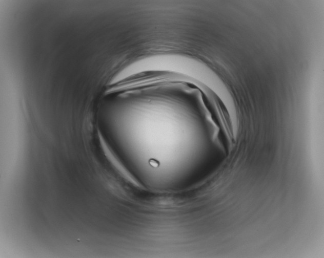 X0000111390264200907311120