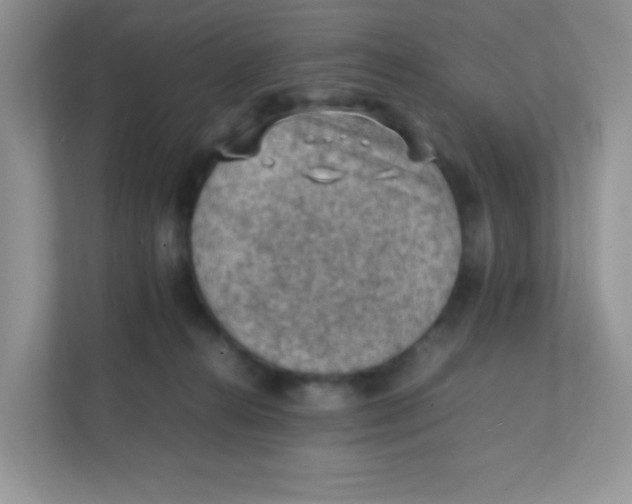 X0000111390272200907311120