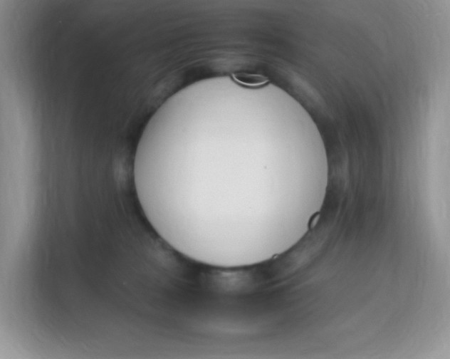 X0000111390277200907311120