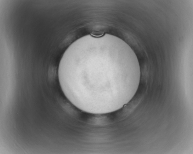 X0000111390278200907311120