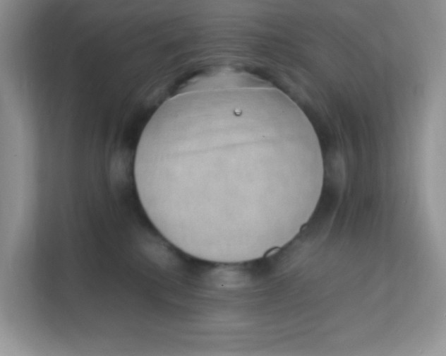 X0000111390280200907311120