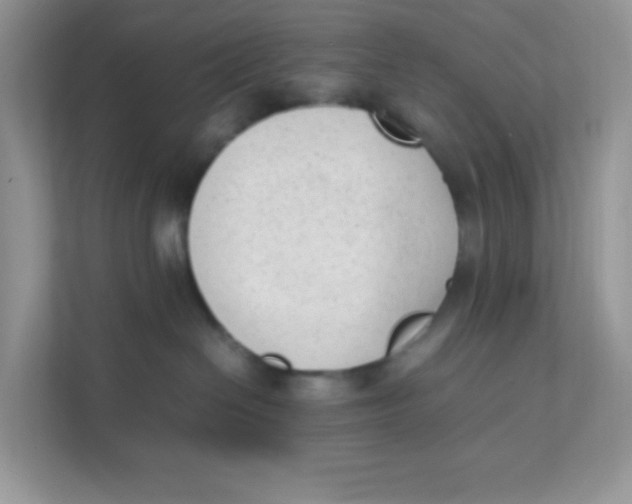 X0000111390286200907311120