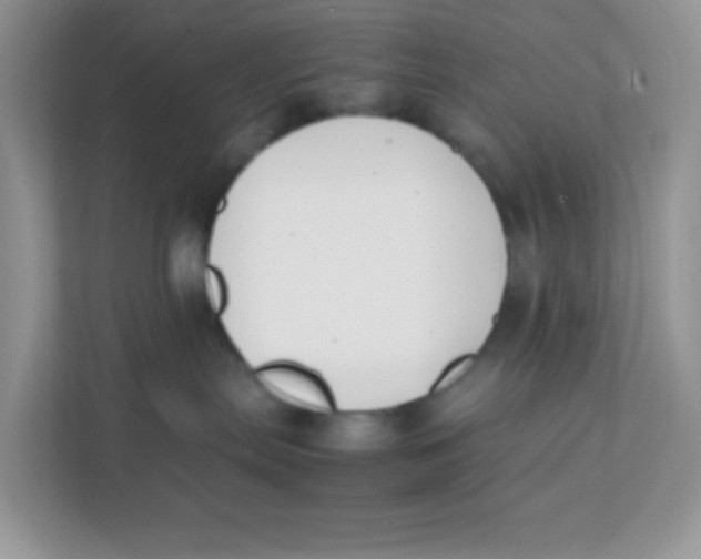 X0000111390287200907311120