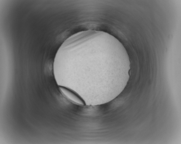 X0000111390288200907311120