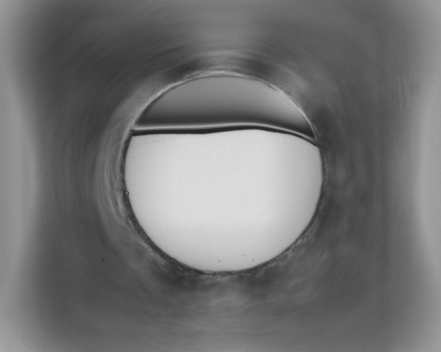 X0000111390289200907311119