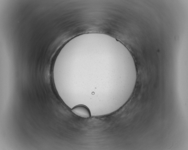 X0000111390290200907311119