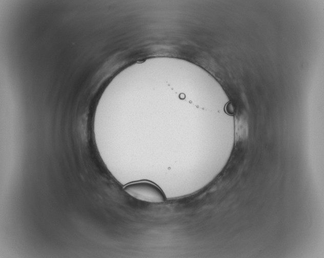 X0000111390291200907311119