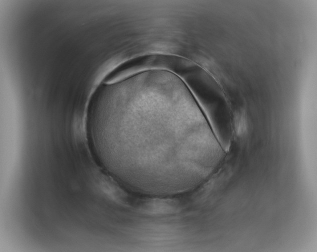 X0000111390292200907311119