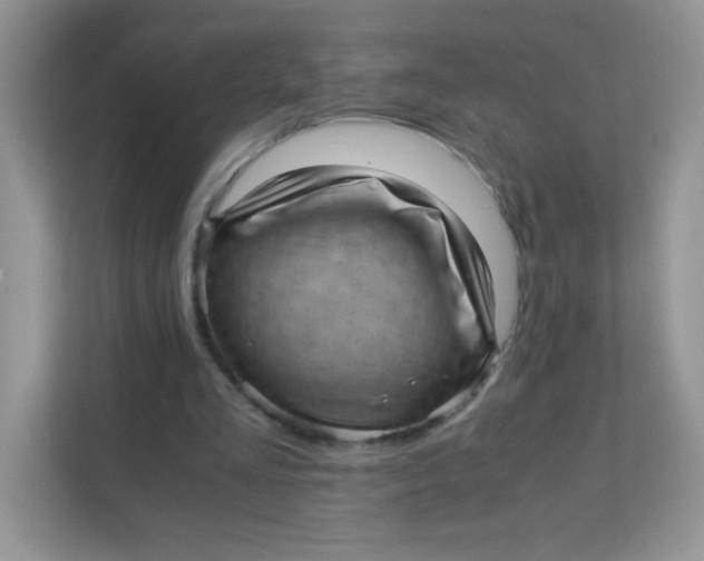 X0000111390293200907311119