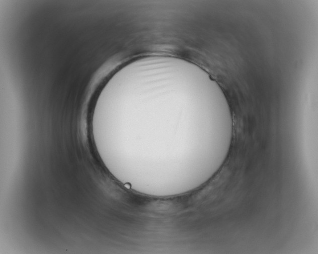 X0000111390294200907311119