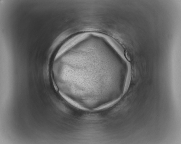 X0000111390296200907311119