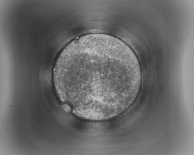 X0000111390297200907311119