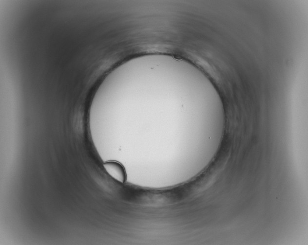 X0000111390299200907311119