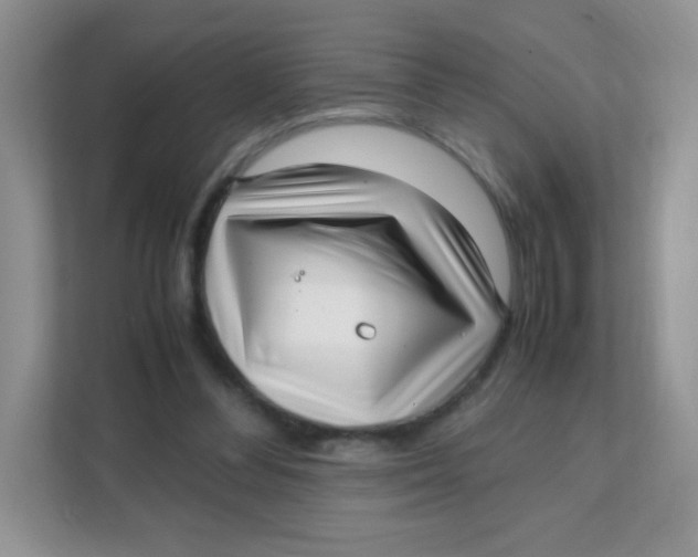 X0000111390300200907311119