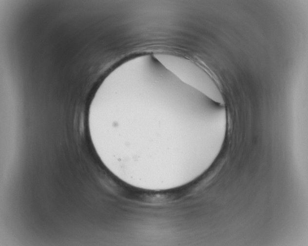 X0000111390301200907311119