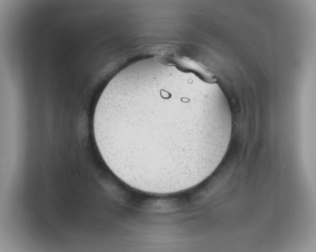 X0000111390303200907311119