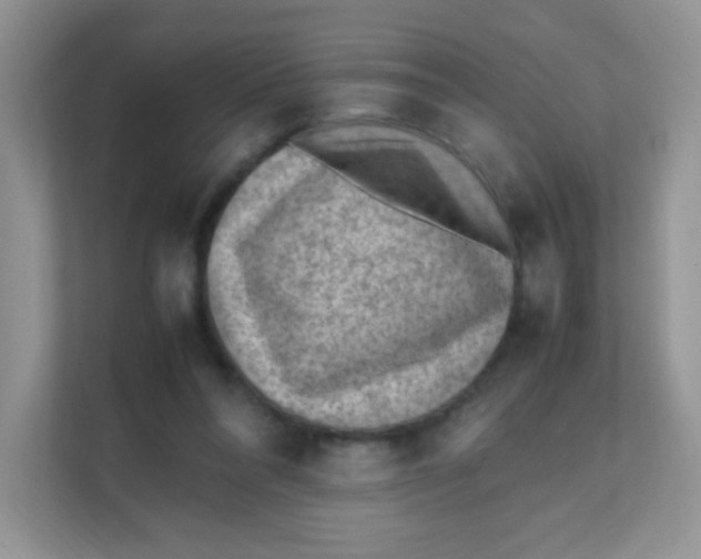 X0000111390304200907311119