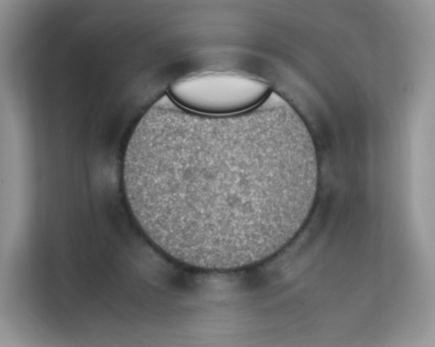 X0000111390305200907311119