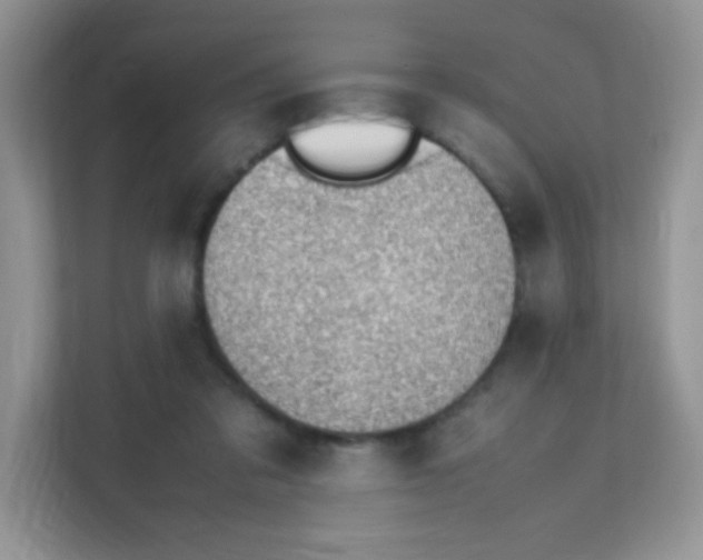 X0000111390309200907311119