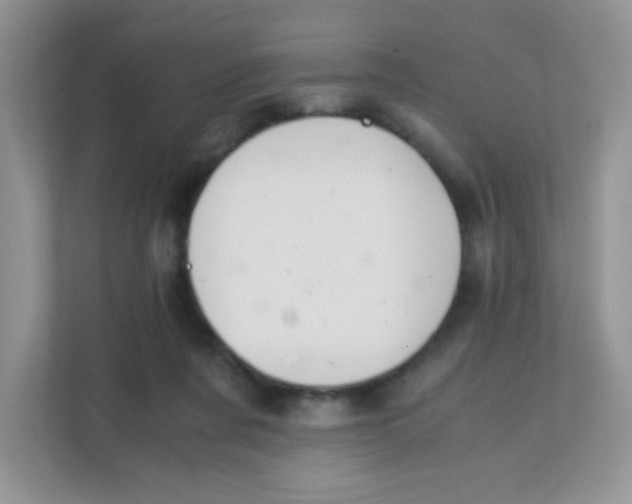 X0000111390311200907311119