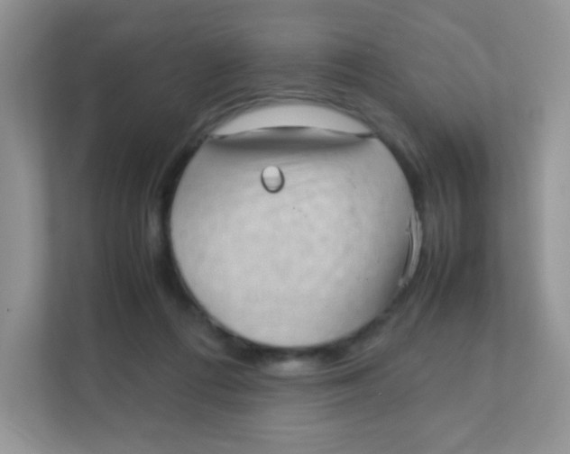 X0000111390312200907311119