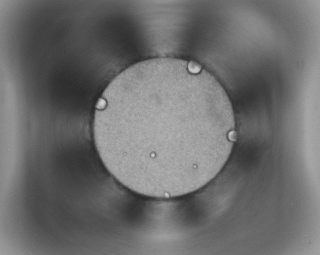 X0000111390313200907311119