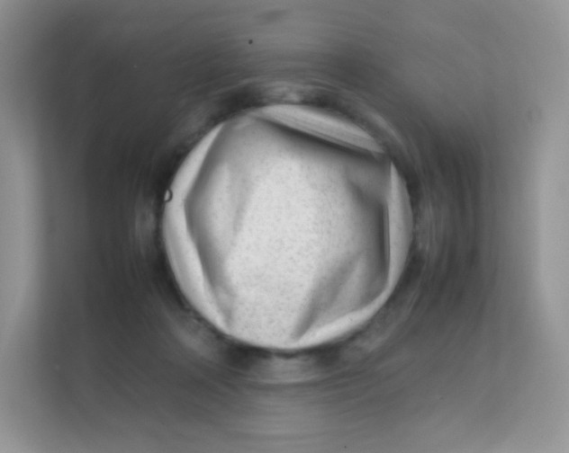 X0000111390314200907311119