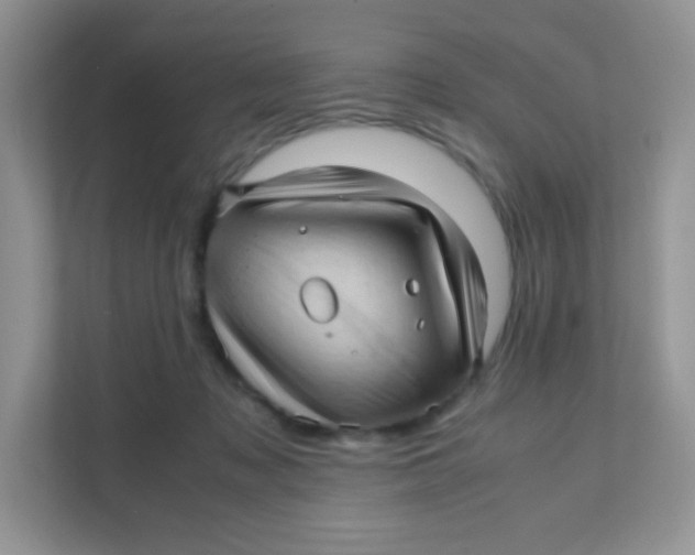 X0000111390317200907311119